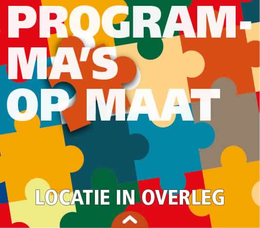 zakelijk programmaopmaat